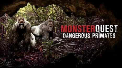 thumbnail - MonsterQuest: Dangerous Primates