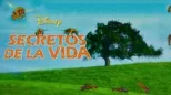 thumbnail - Secretos de la vida
