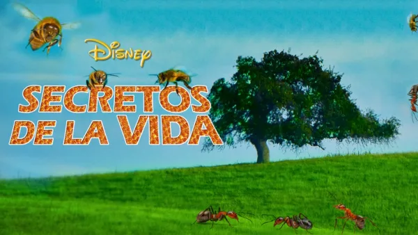 thumbnail - Secretos de la vida