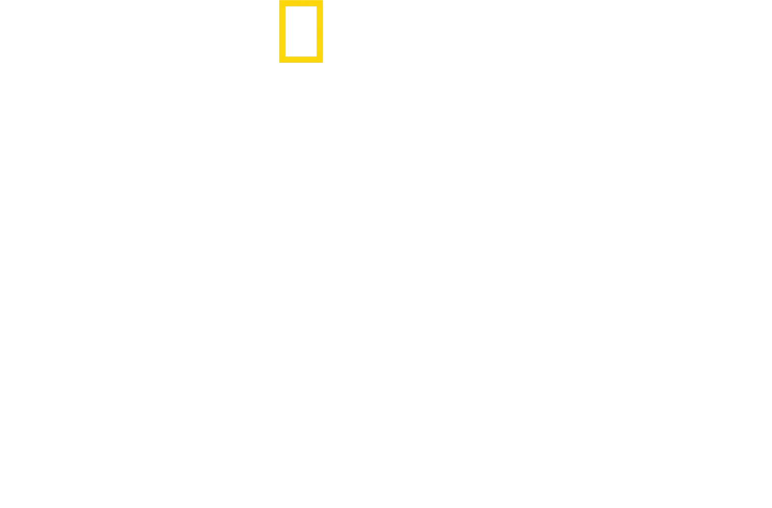 Ze života mláďat