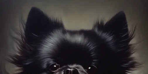 Good Boy megtekintése | Disney+