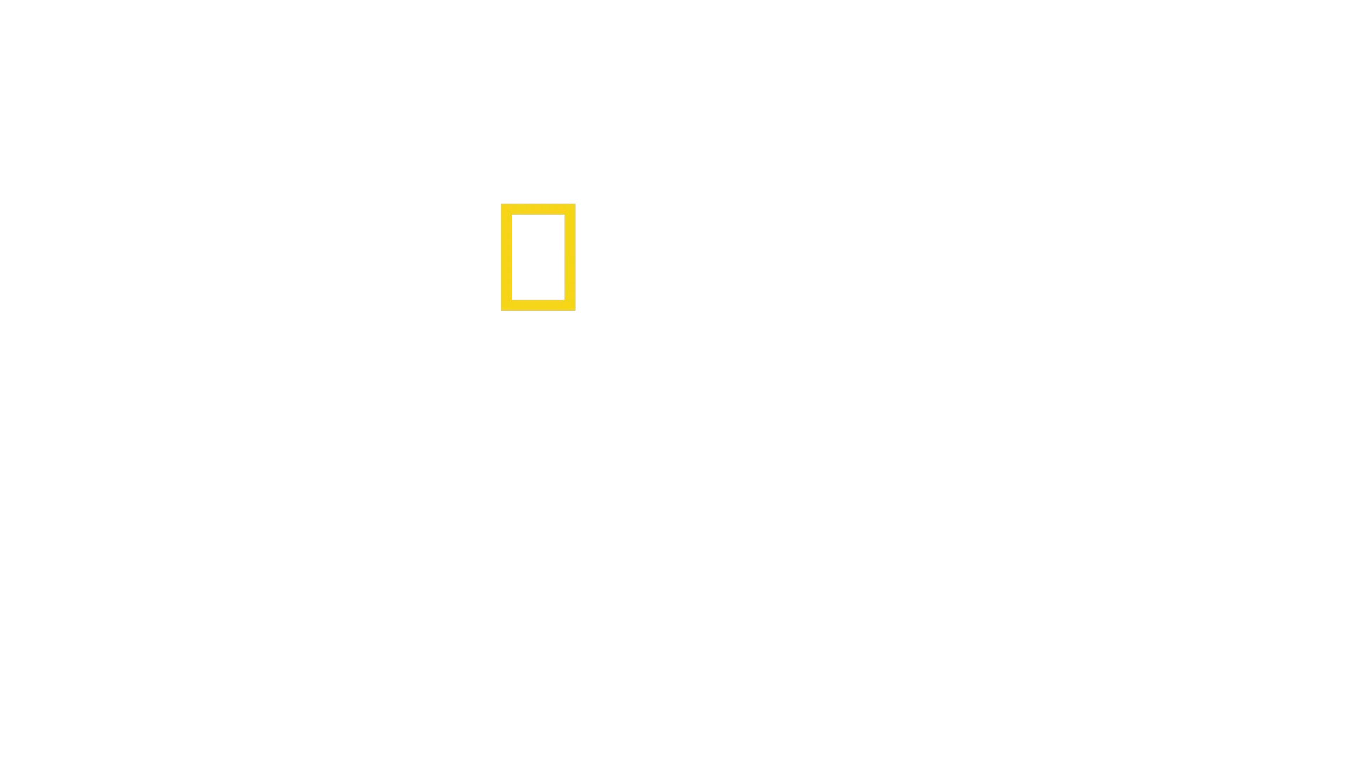 Alimentando al Mundo
