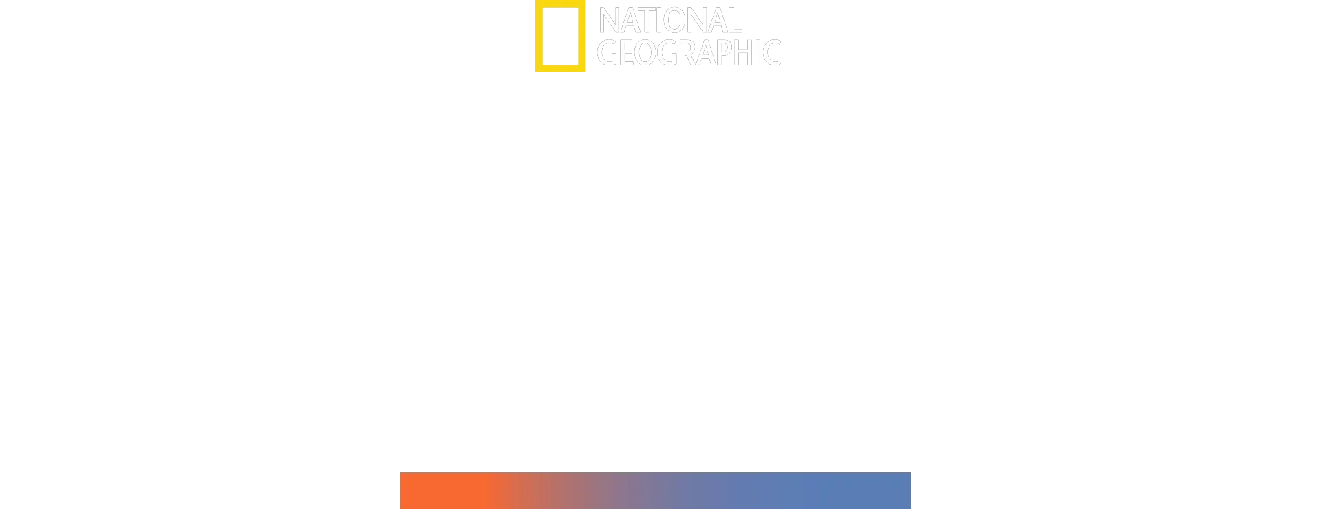 Il mega squalo martello