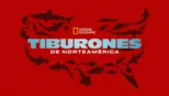 thumbnail - Tiburones de Norteamérica