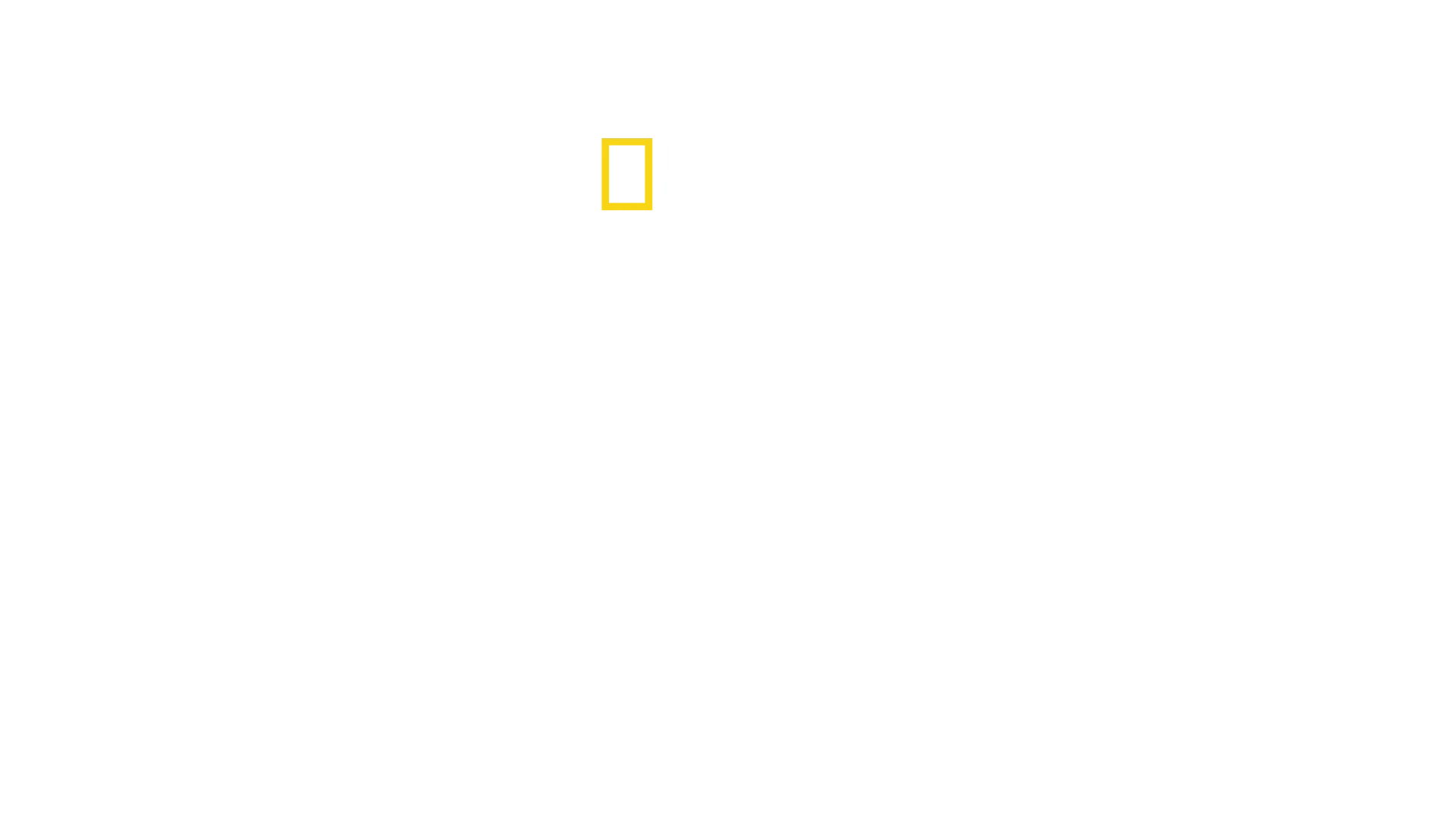 Sharks of Lost Island