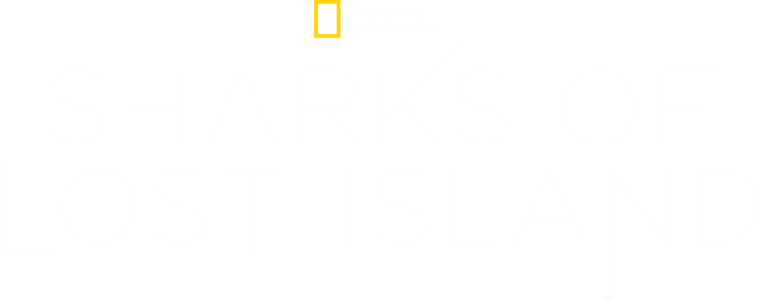 Sharks of Lost Island