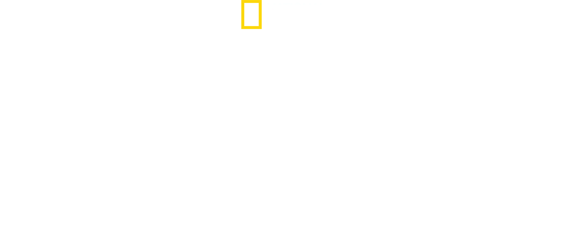 Sharks of Lost Island