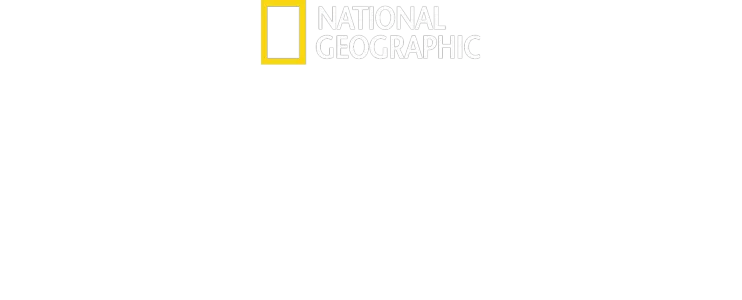 Față în față cu cimpanzeii