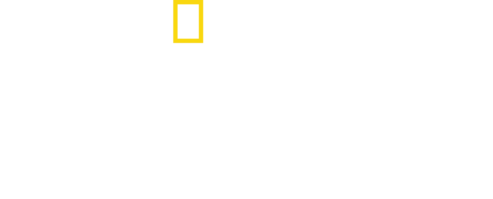 Față în față cu cimpanzeii