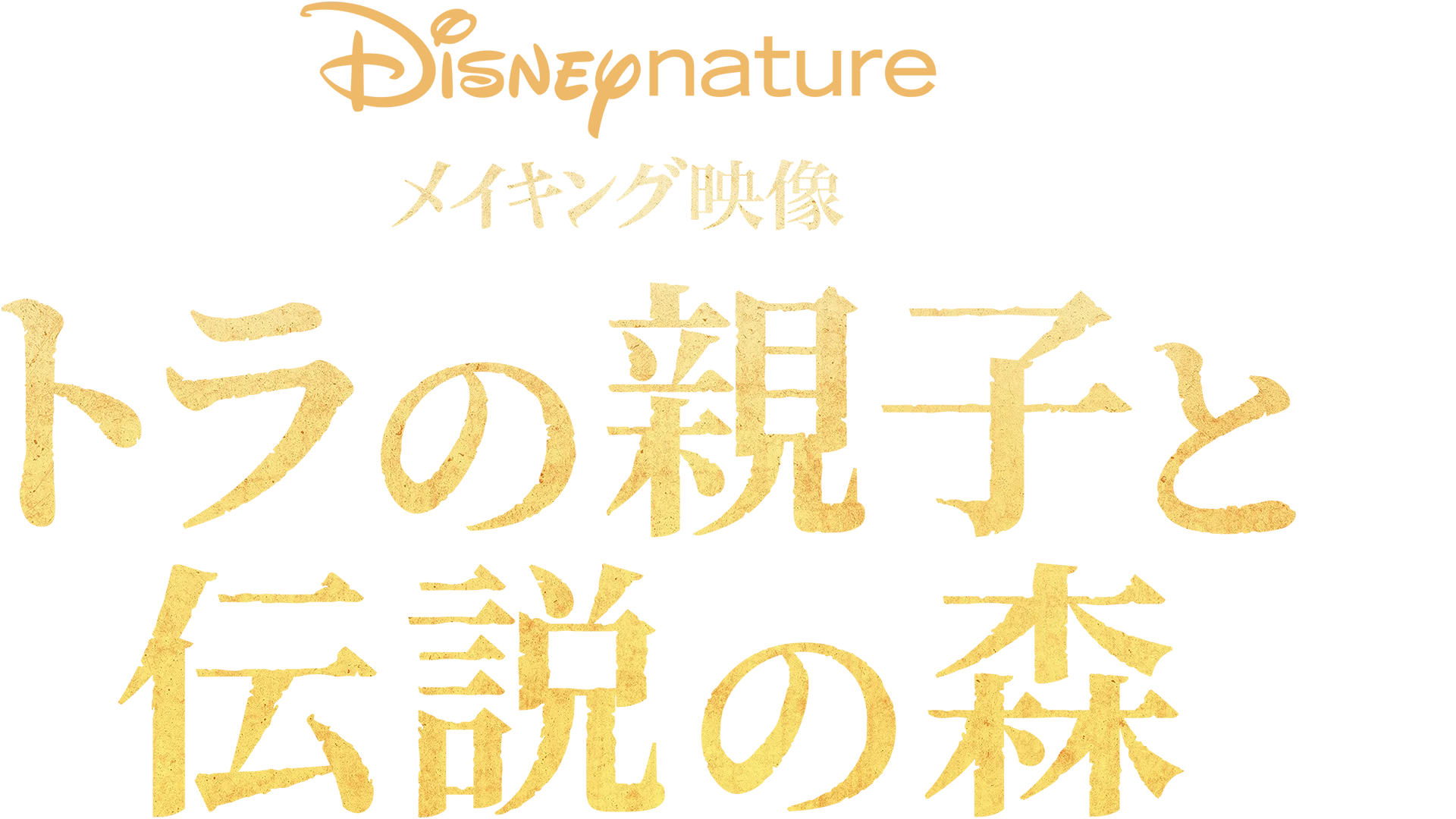 メイキング映像 ～トラの親子と伝説の森～