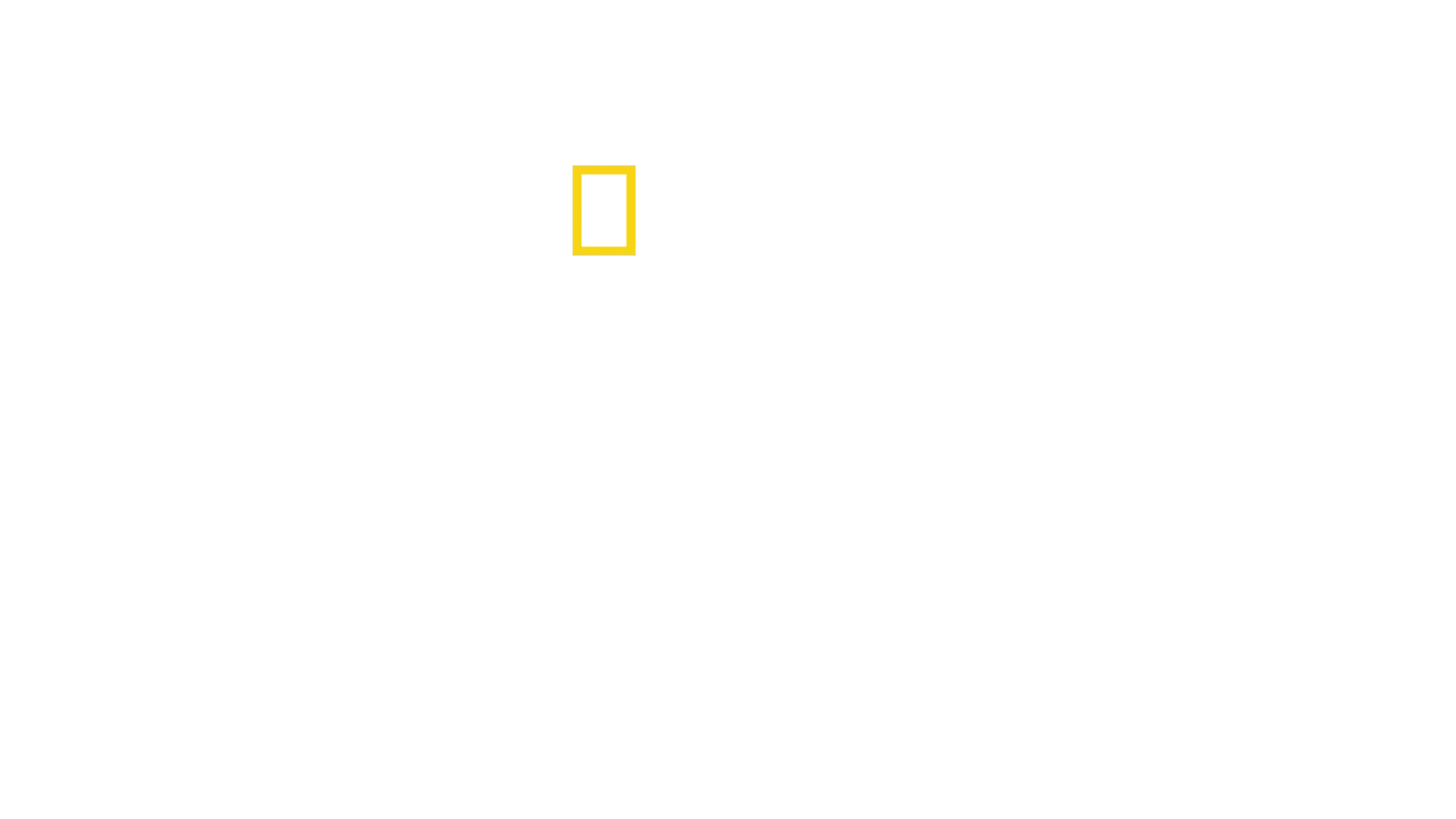 Océanos con David Attenborough