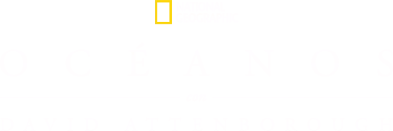 Océanos con David Attenborough