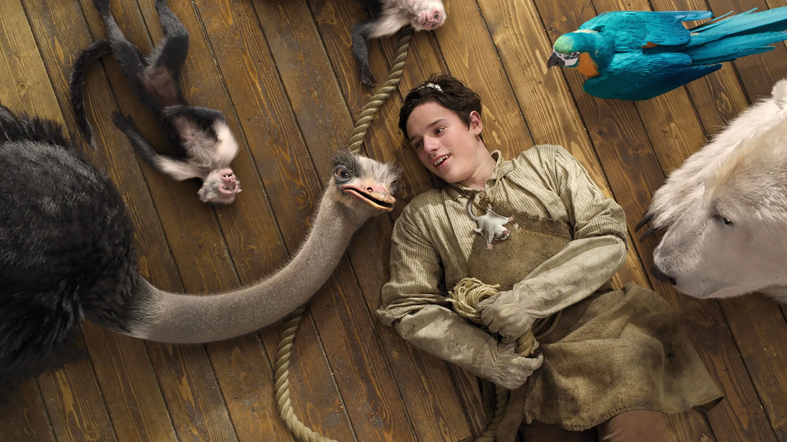 Dolittle