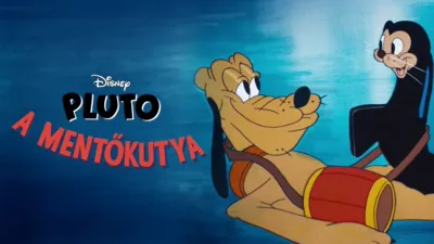 Pluto, a mentőkutya