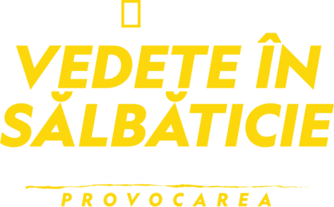 Vedete în sălbăticie, cu Bear Grylls: Provocarea