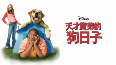 天才寶弟的狗日子