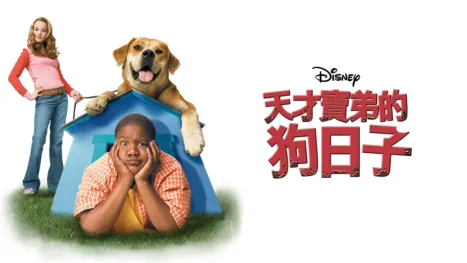 thumbnail - 天才寶弟的狗日子