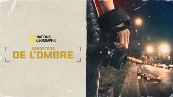 thumbnail - The Nightcrawlers