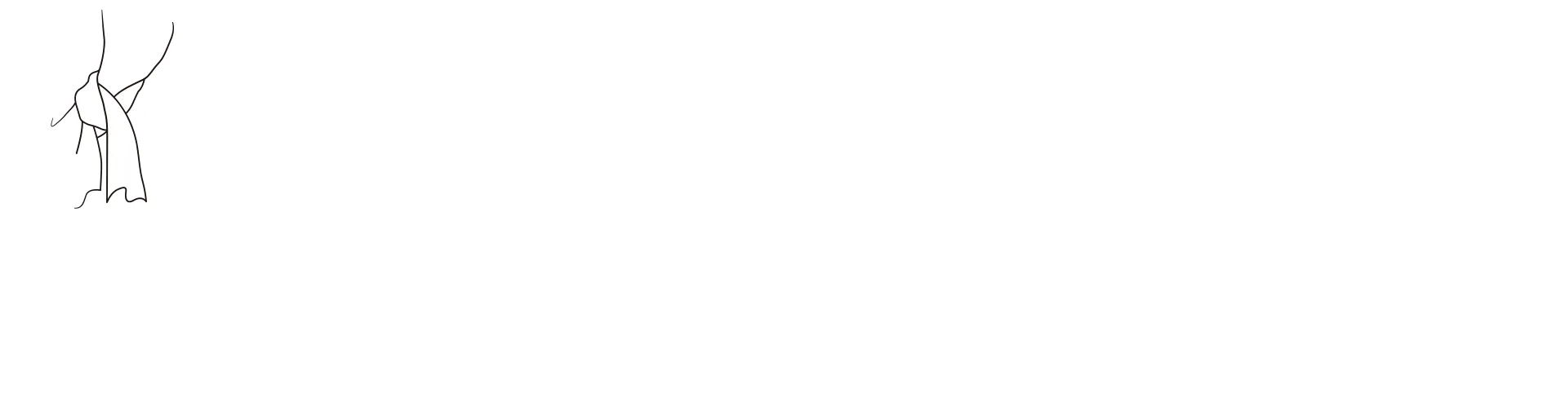 초시공요새 마크로스 FLASH BACK 2012