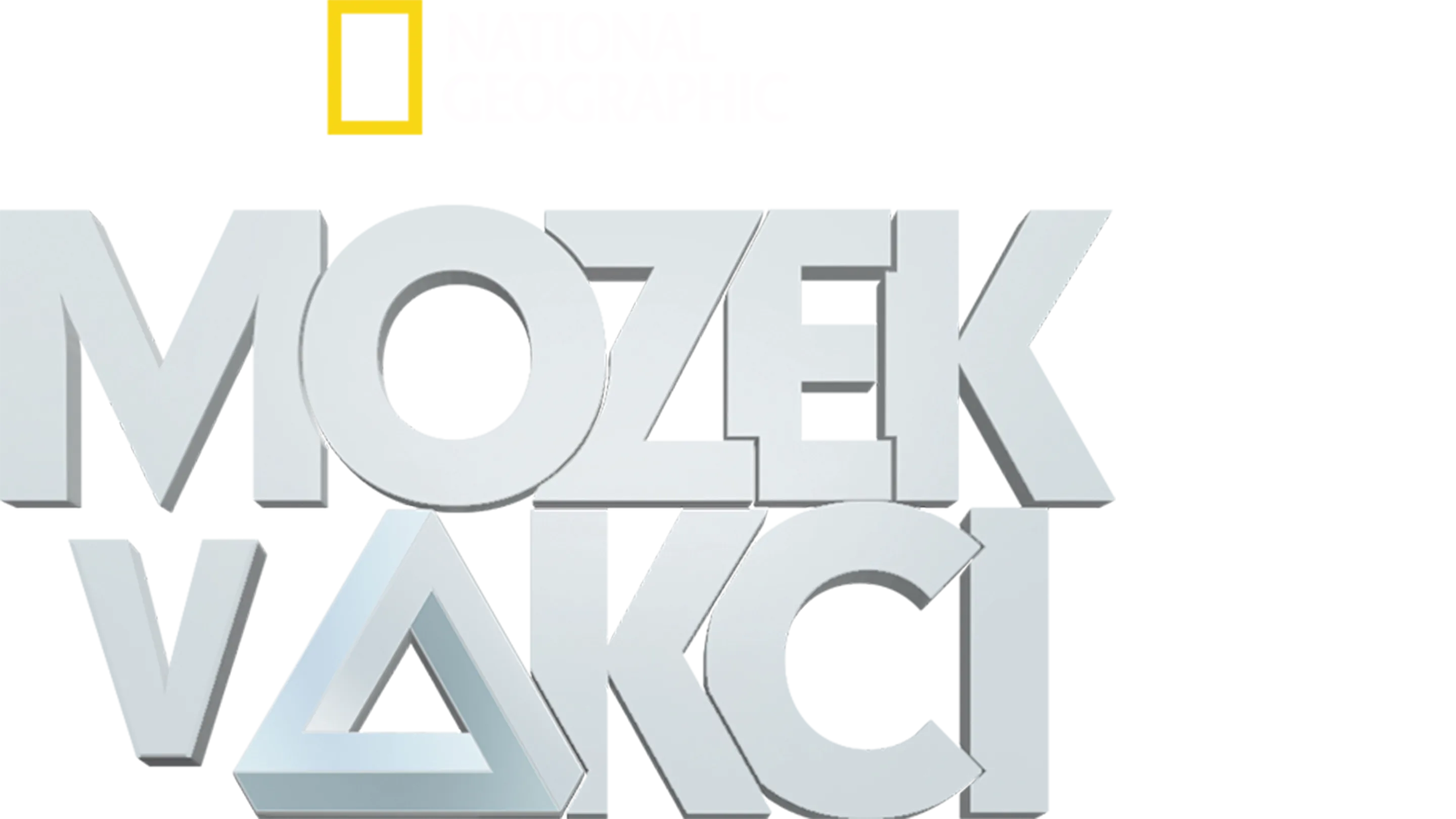 Mozek v akci
