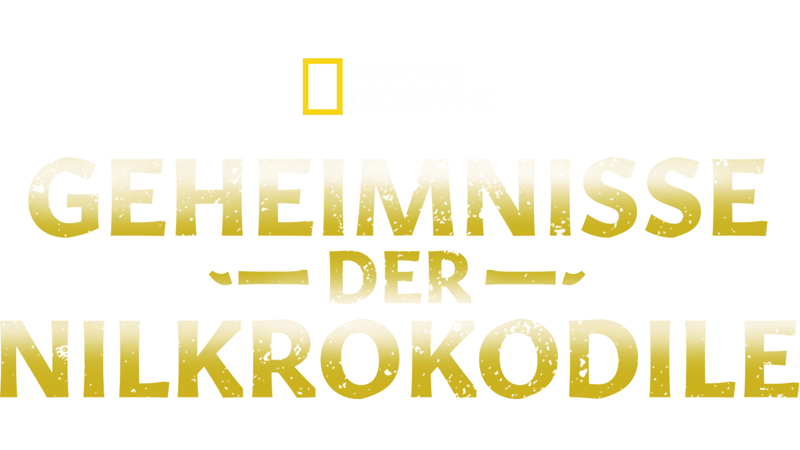 Geheimnisse der Nilkrokodile
