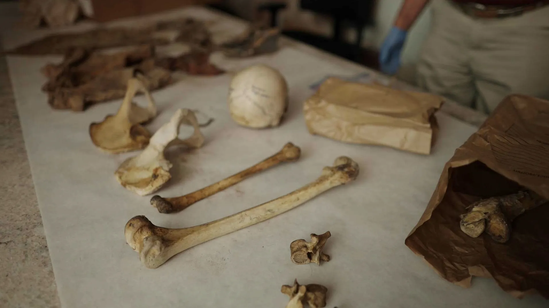 thumbnail - S1:E2 A Box of Bones
