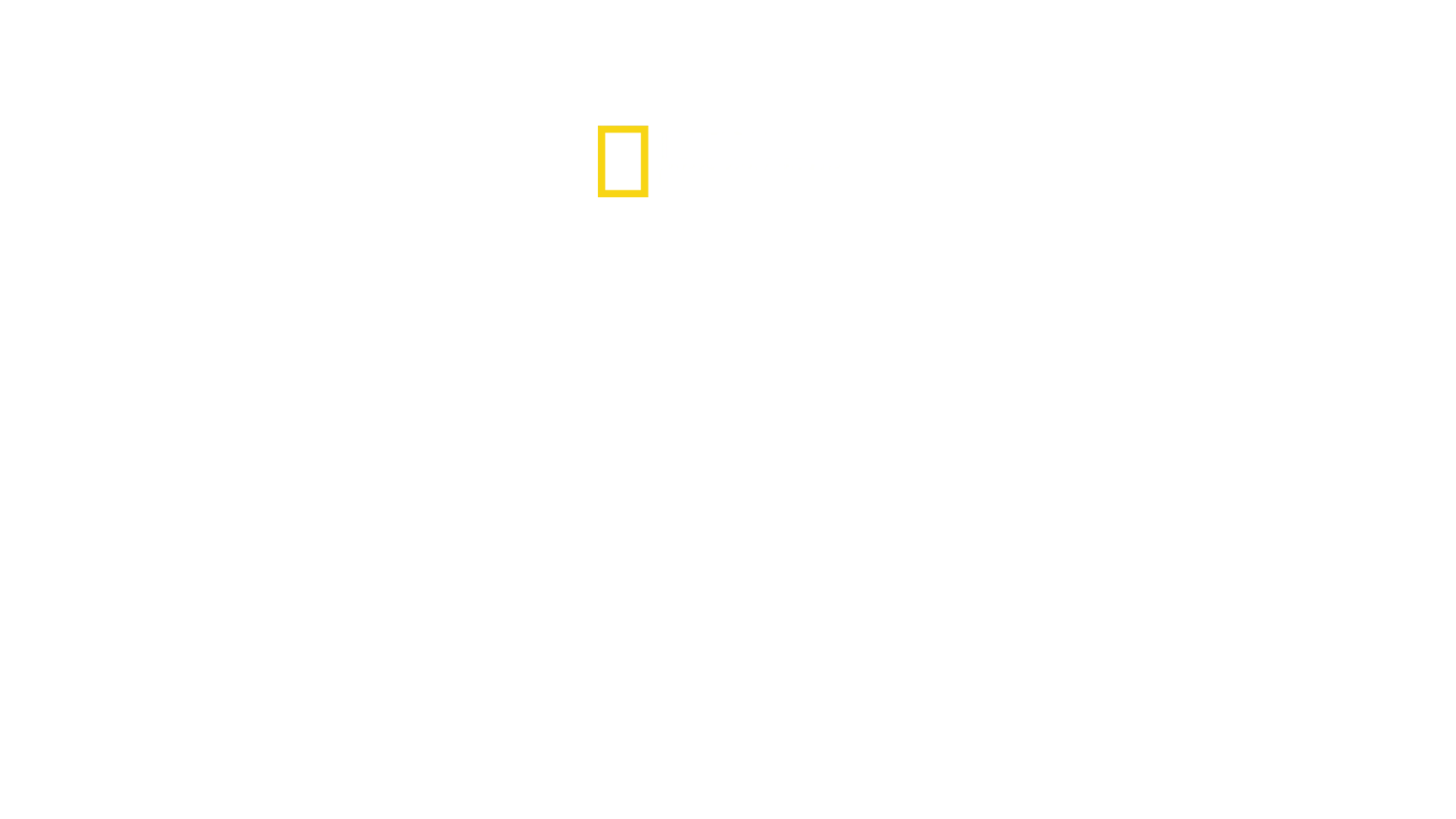 Καρχαρίες στα Νησιά Πίτκερν