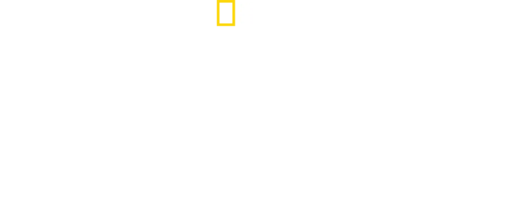 Καρχαρίες στα Νησιά Πίτκερν