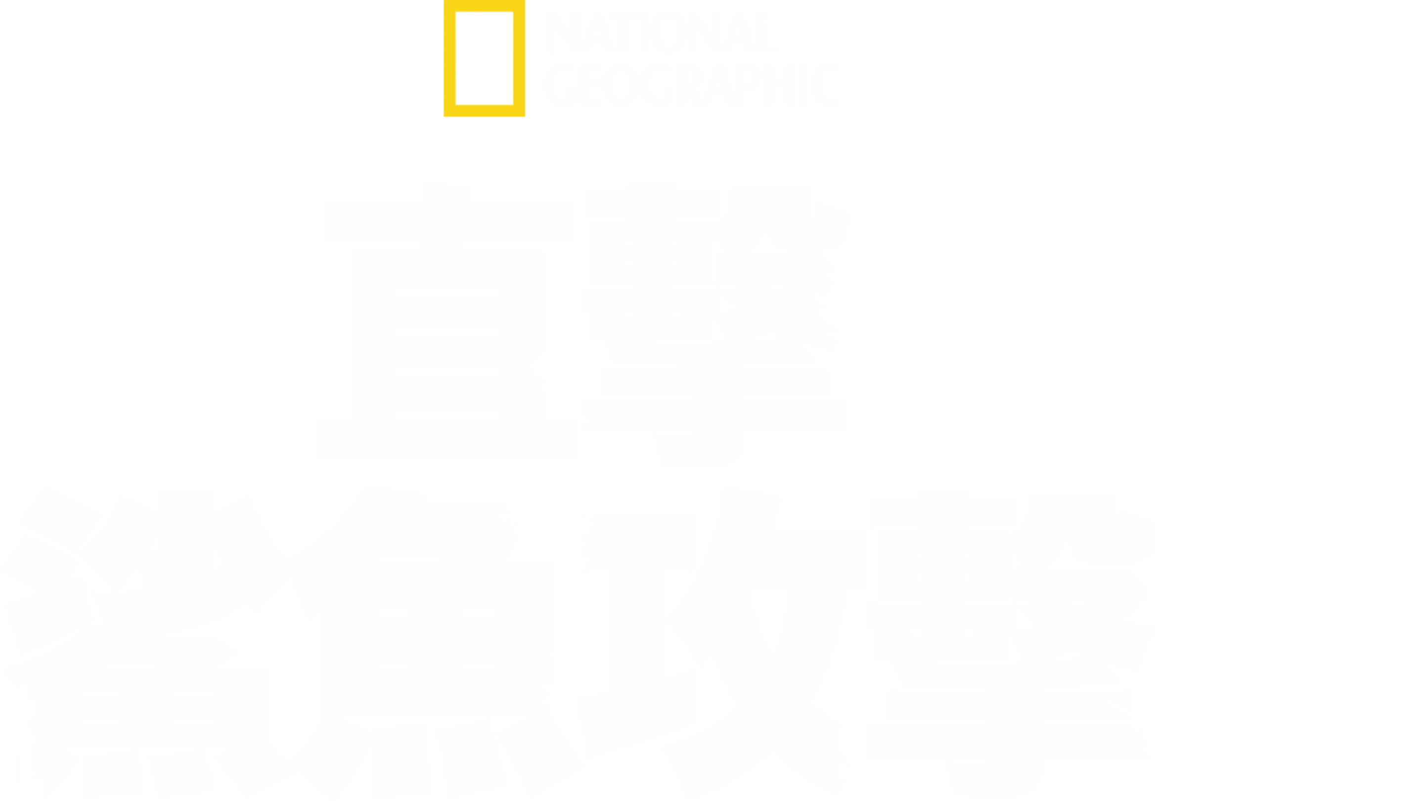 直擊鯊魚攻擊