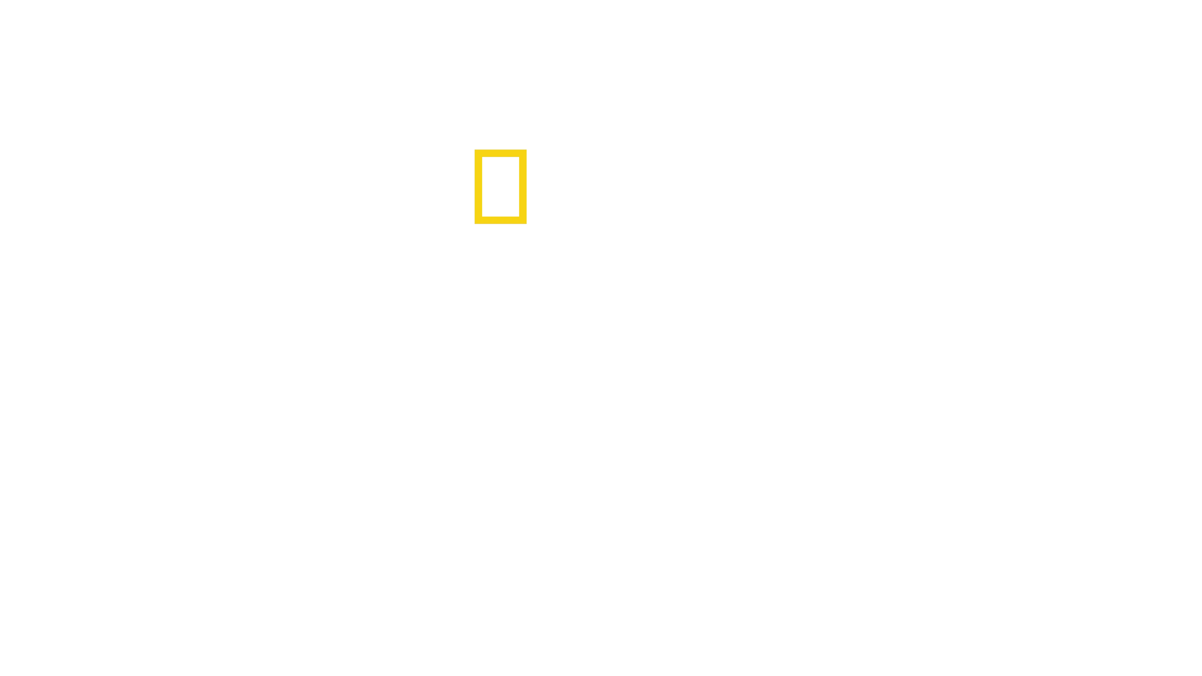 Los secretos de los pulpos