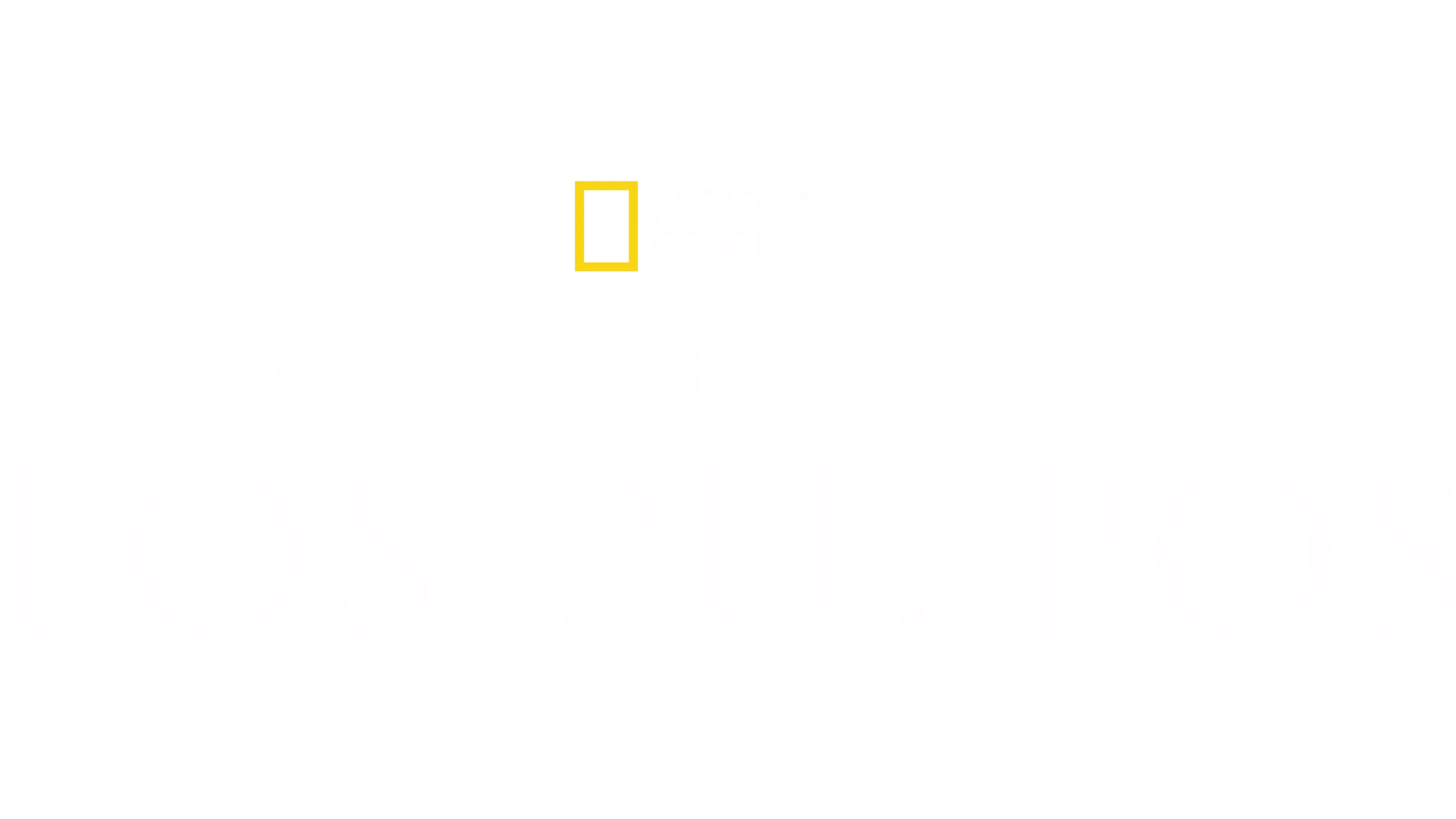 Los secretos de los pulpos