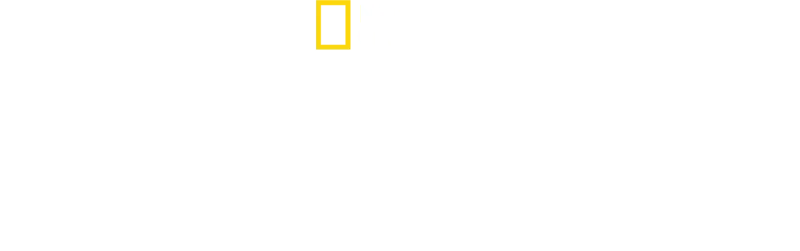 Los secretos de los pulpos