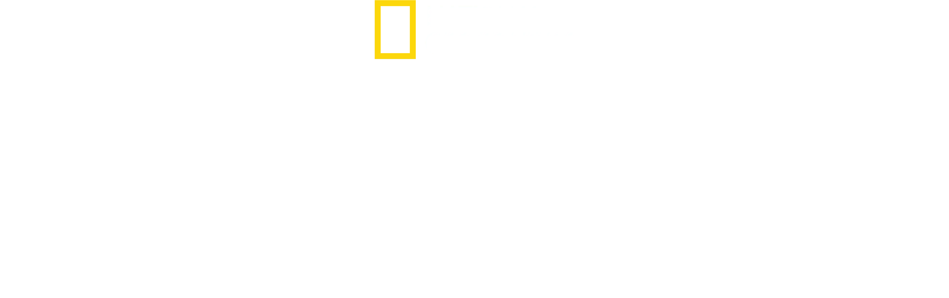 Los secretos de los pulpos