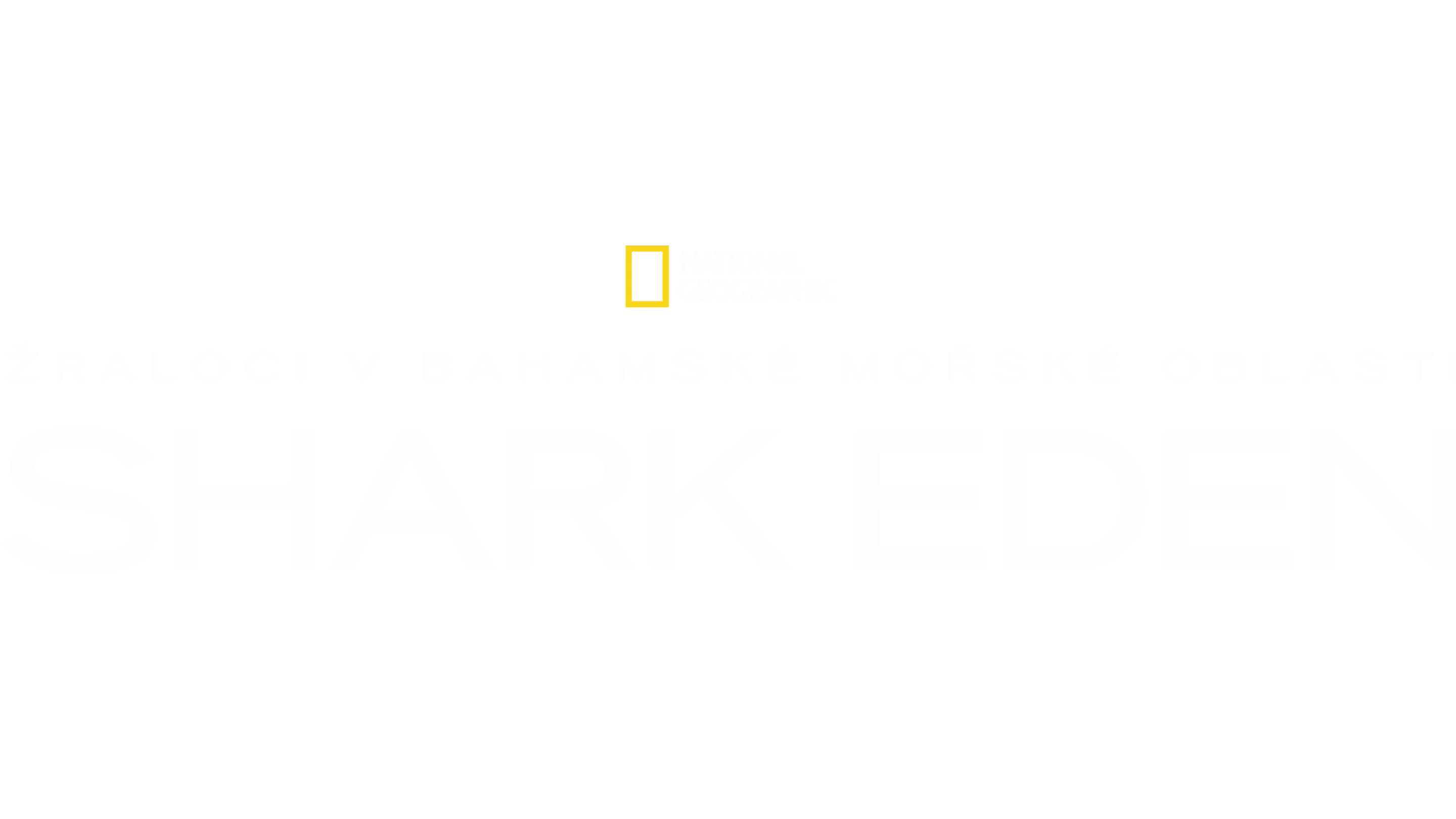 Žraloci v bahamské mořské oblasti Shark Eden