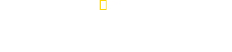 Žraloci v bahamské mořské oblasti Shark Eden