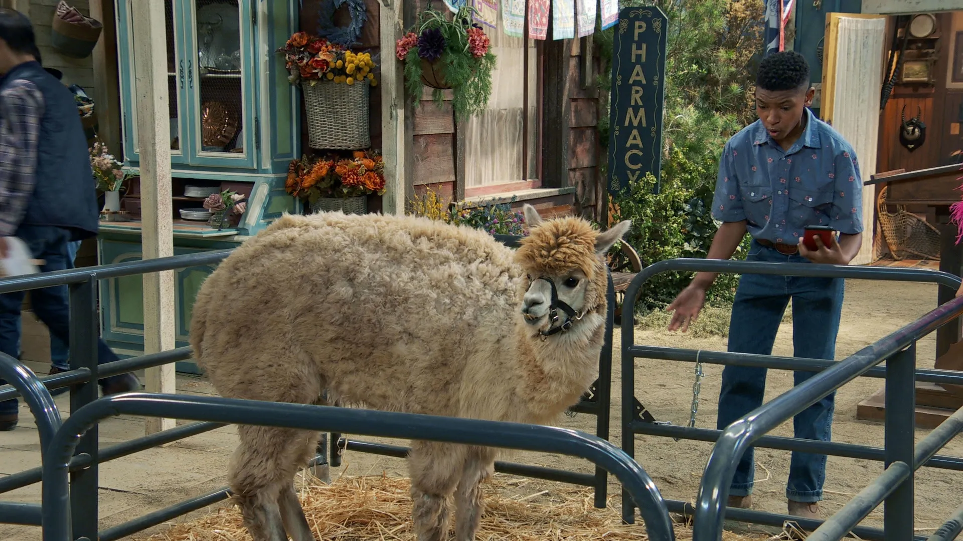thumbnail - S6:E17 Alpaca-lypse Now