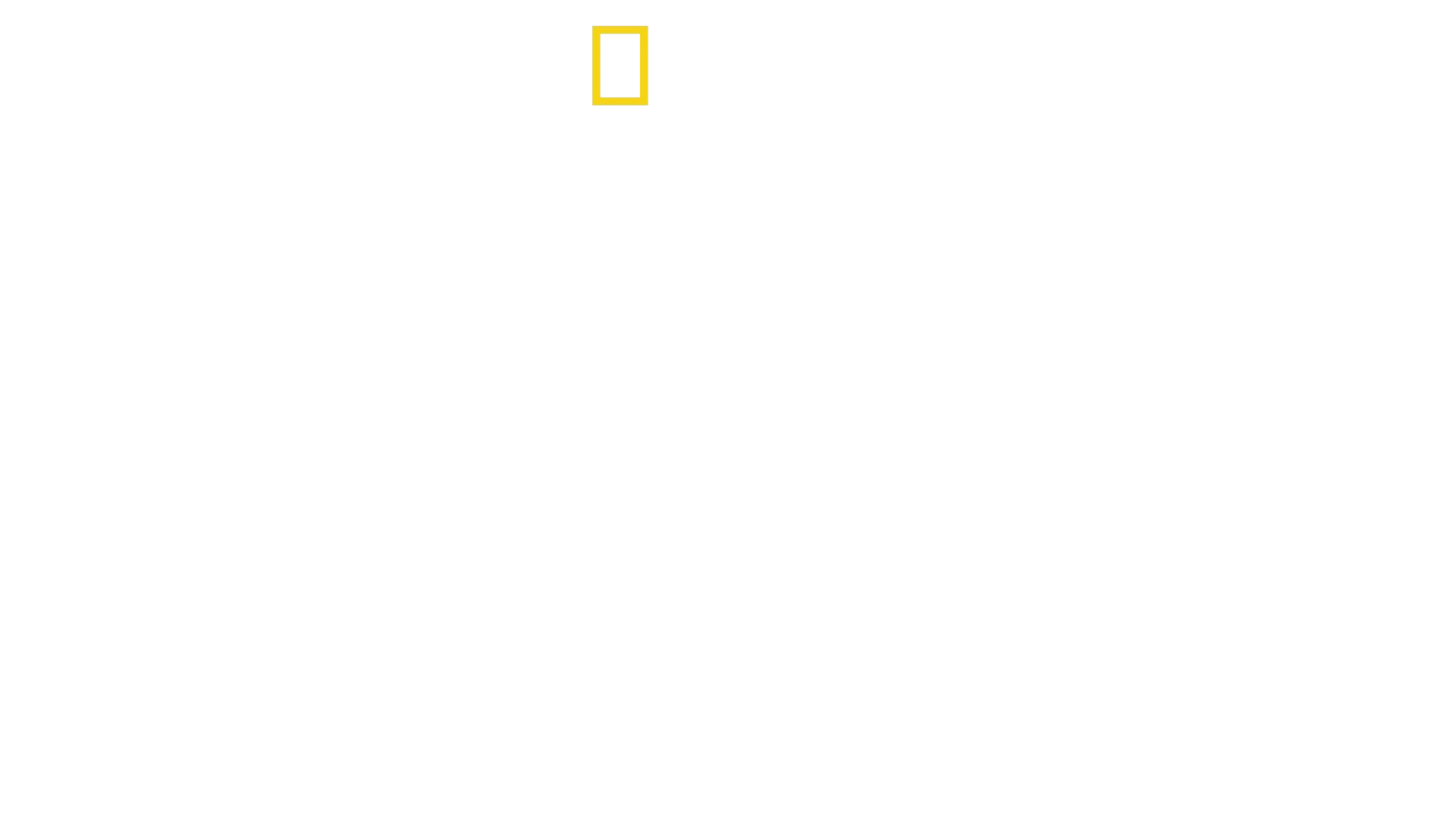 Trésors d'Egypte
