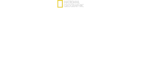 Trésors d'Egypte