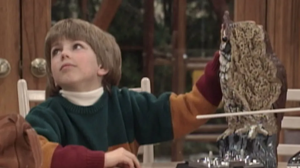 thumbnail - S2:E18 Bye, Bye Birdie