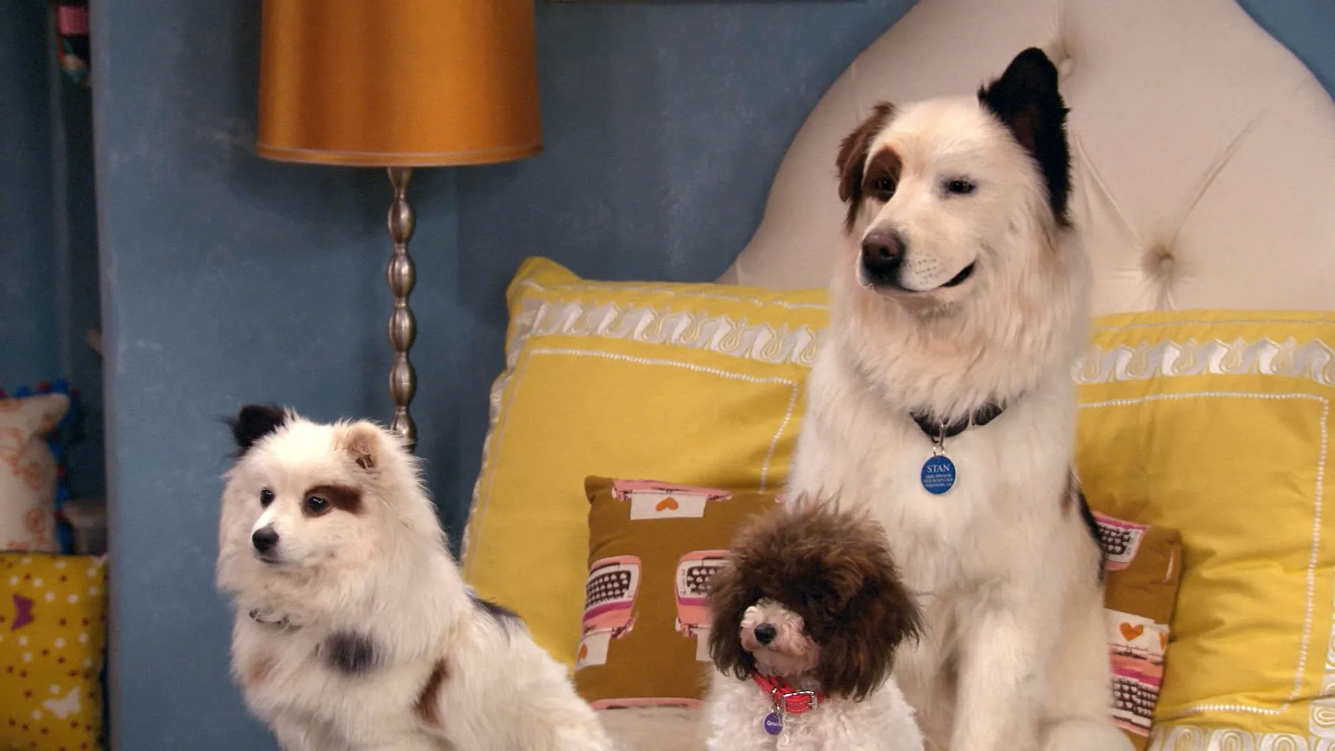 thumbnail - S3:E18 The Puppy Talks