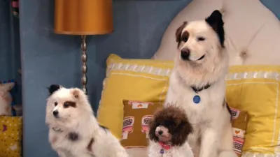 thumbnail - S3:E18 The Puppy Talks