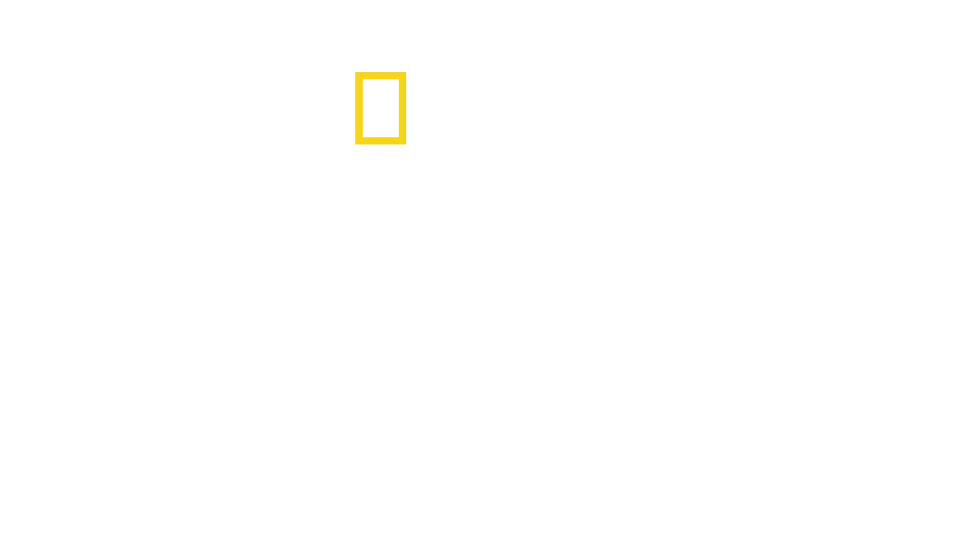 Viaggio nel mercato nero con Mariana Van Zeller
