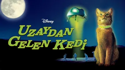 Uzaydan Gelen Kedi