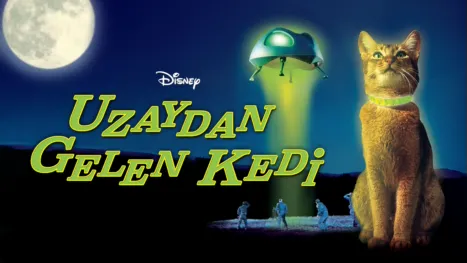 thumbnail - Uzaydan Gelen Kedi