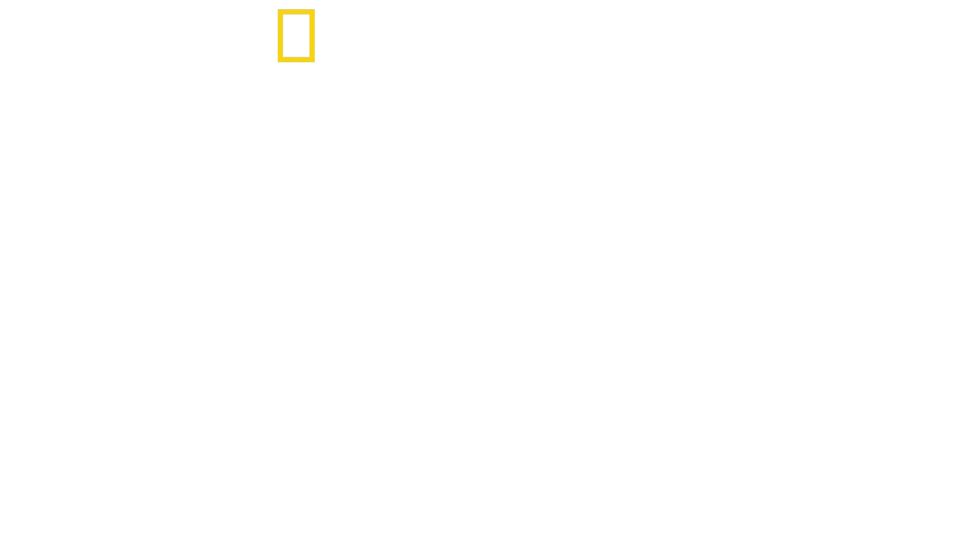 Disney's Animal Kingdom: magiczne królestwo zwierząt