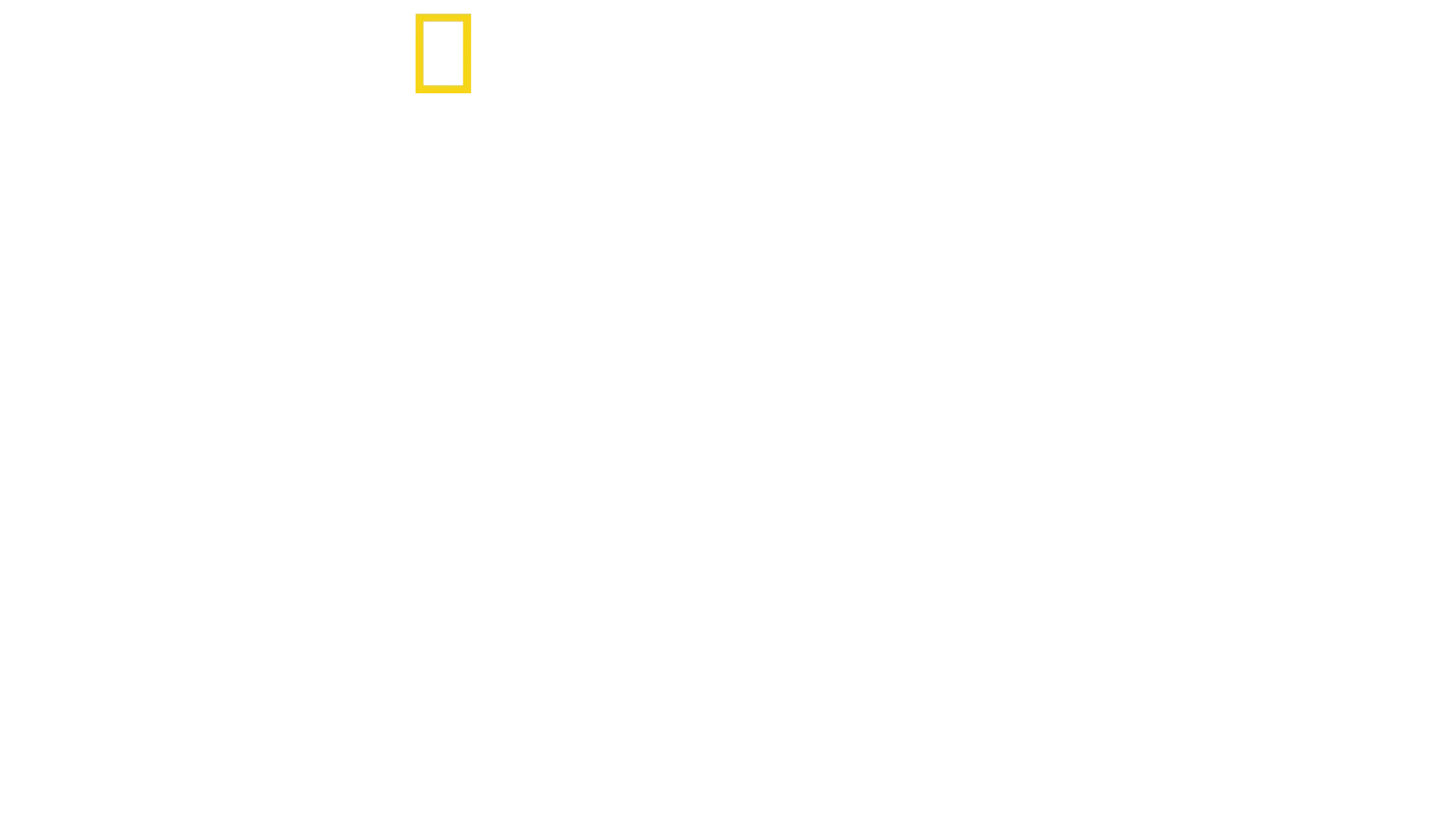 Disney's Animal Kingdom: magiczne królestwo zwierząt