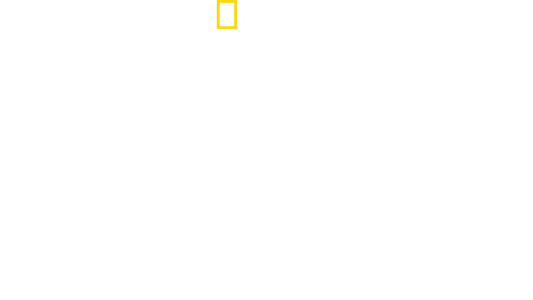 Return of the Clouded Leopards