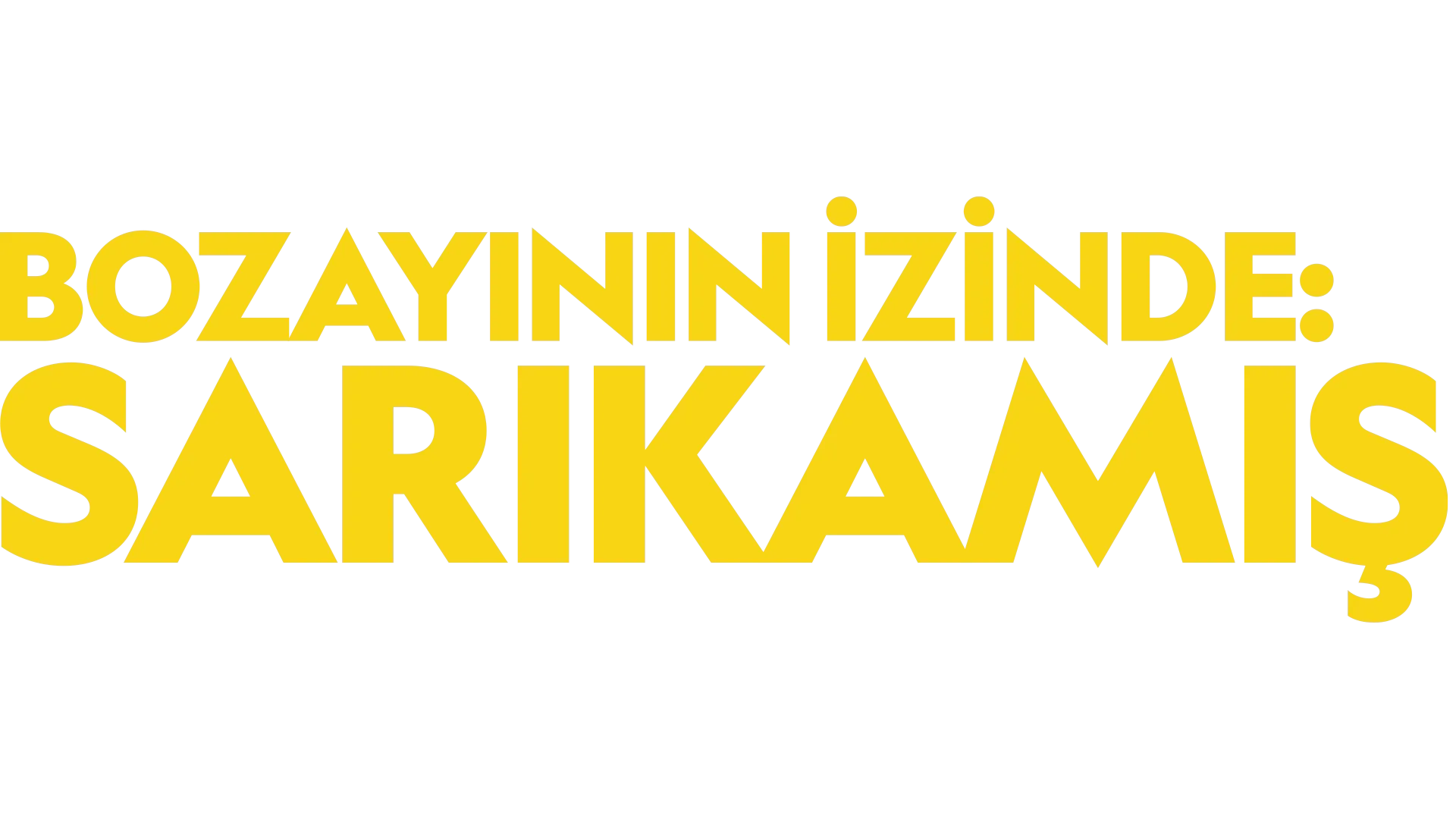 Bozayının İzinde: Sarıkamış