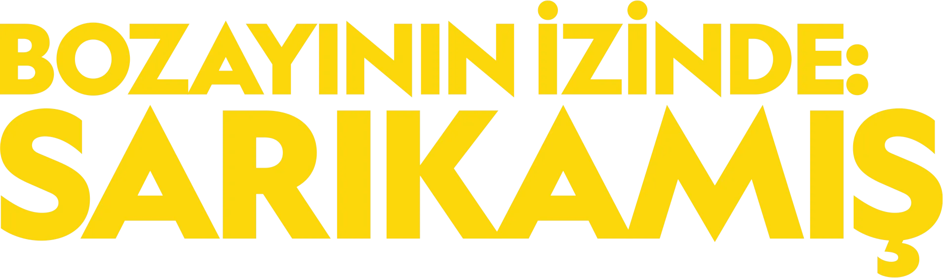 Bozayının İzinde: Sarıkamış
