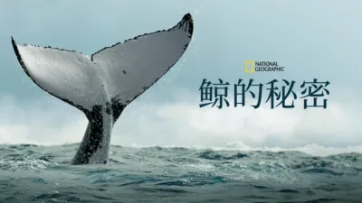 Secrets of the Whales